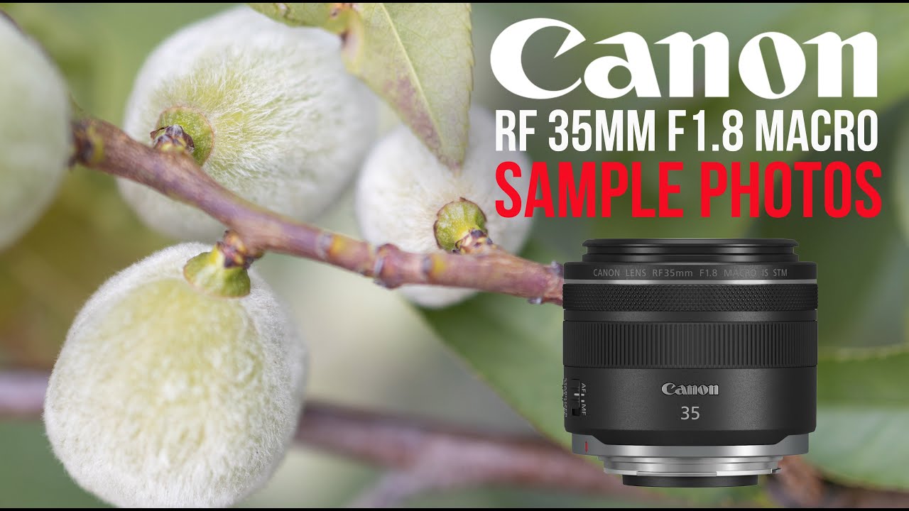 You are currently viewing Why I love 💕the Canon 35mm RF 1.8 macro lens – EOS R